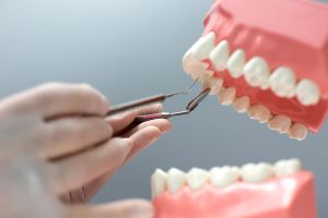 Çayırova diş polikliniği olan Adnan Coşkun Diş Polikliniği içerisinde implant ve köprü tedavileri başarılı bir şekilde gerçekleştirilmektedir